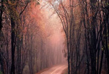 lol转区-马来西亚羽毛球队逆转法国队，谌龙全场统治再创辉煌奇迹